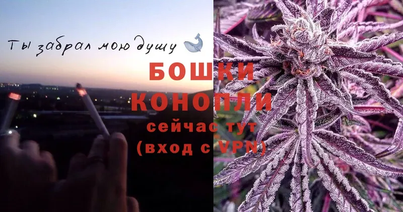 Марихуана White Widow  Пучеж 